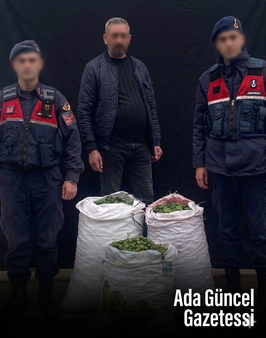 Germencik'te İncir Hırsızlığı: Suçüstü Yakalandı!