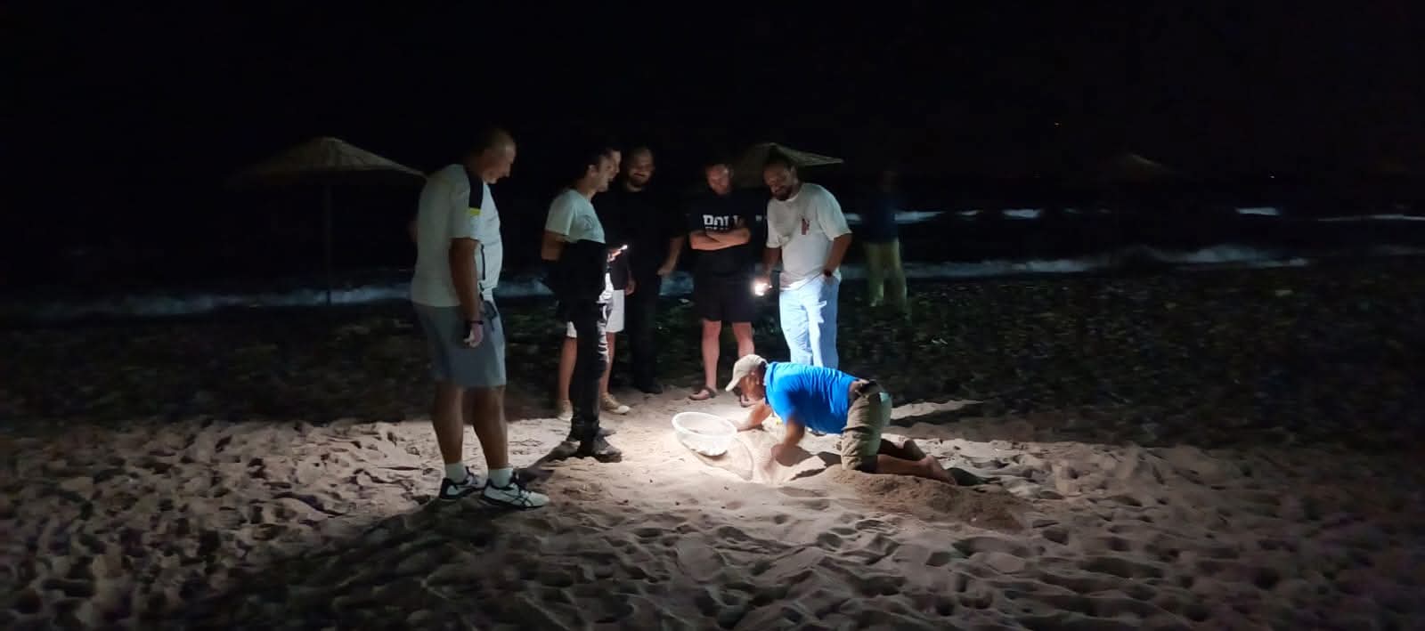 Caretta’lardan İki Müjde: Kuşadası ve Gümüldür Sahillerinde Yeni Yuvalar