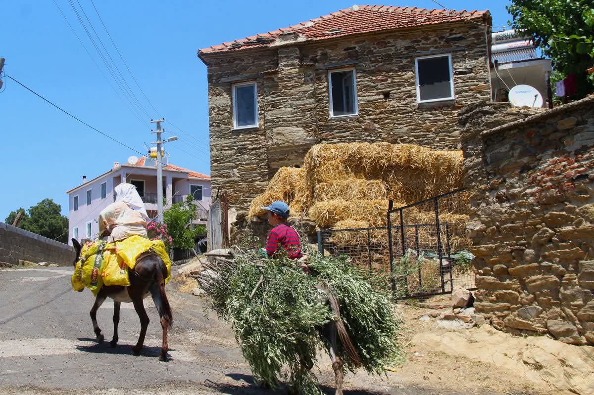 LATMOS’TAN AMERİKA’YA UZANAN BELGESEL: DOĞA VE TARİHİN SESSİZ DİYALOĞU
