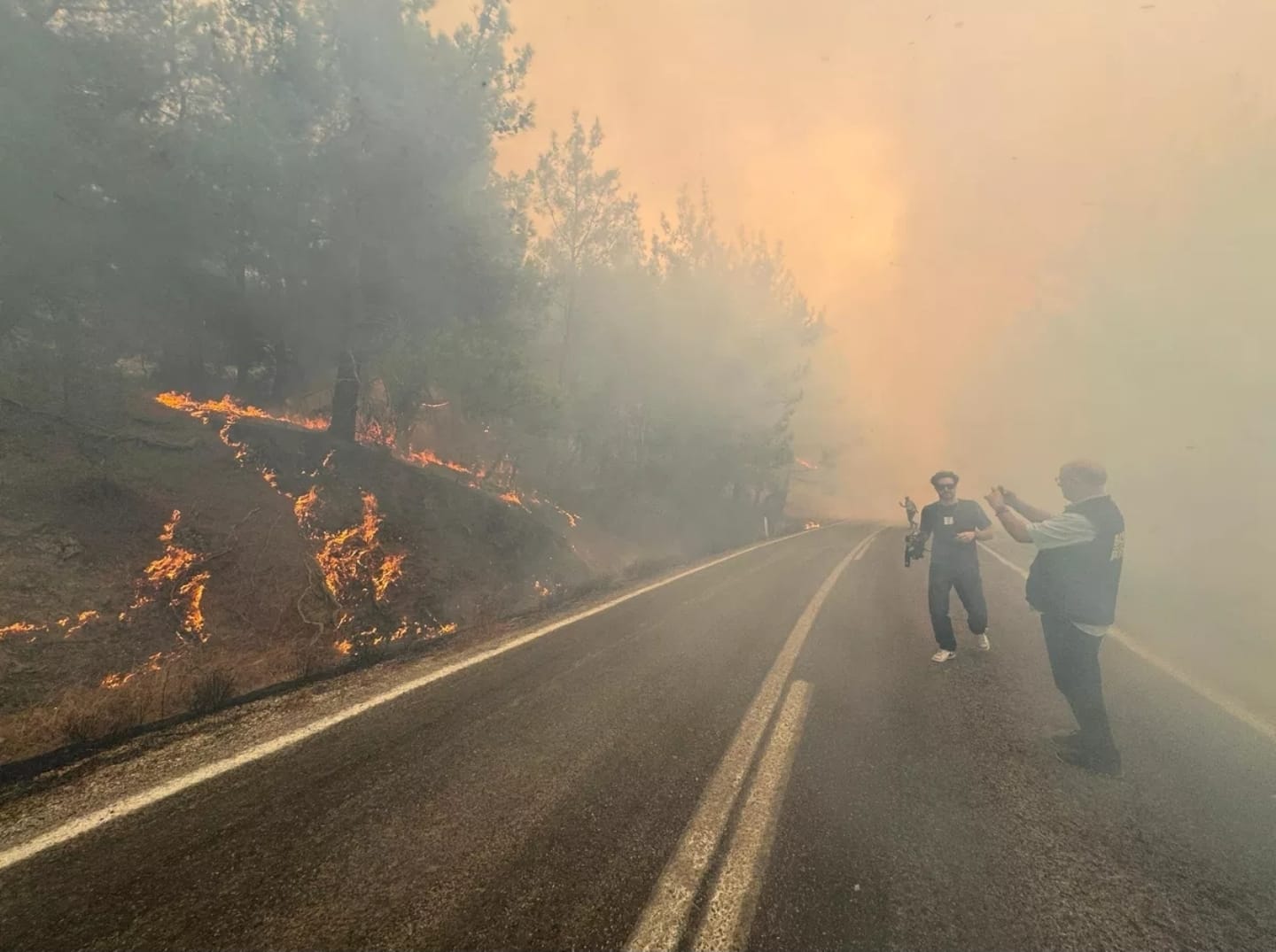 Balıkesir'deki Orman Yangınının Şüphelileri Tutuklandı