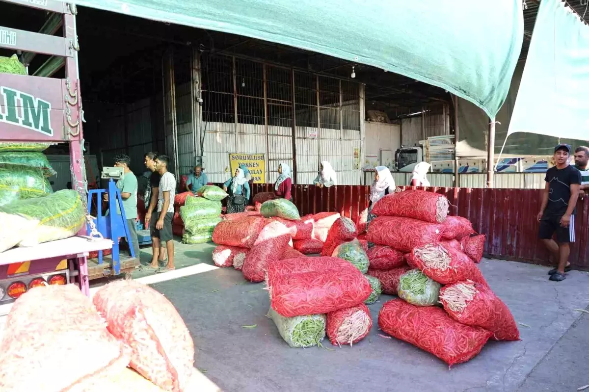 Acarlar'da iki asırdır süren çalışma azmi