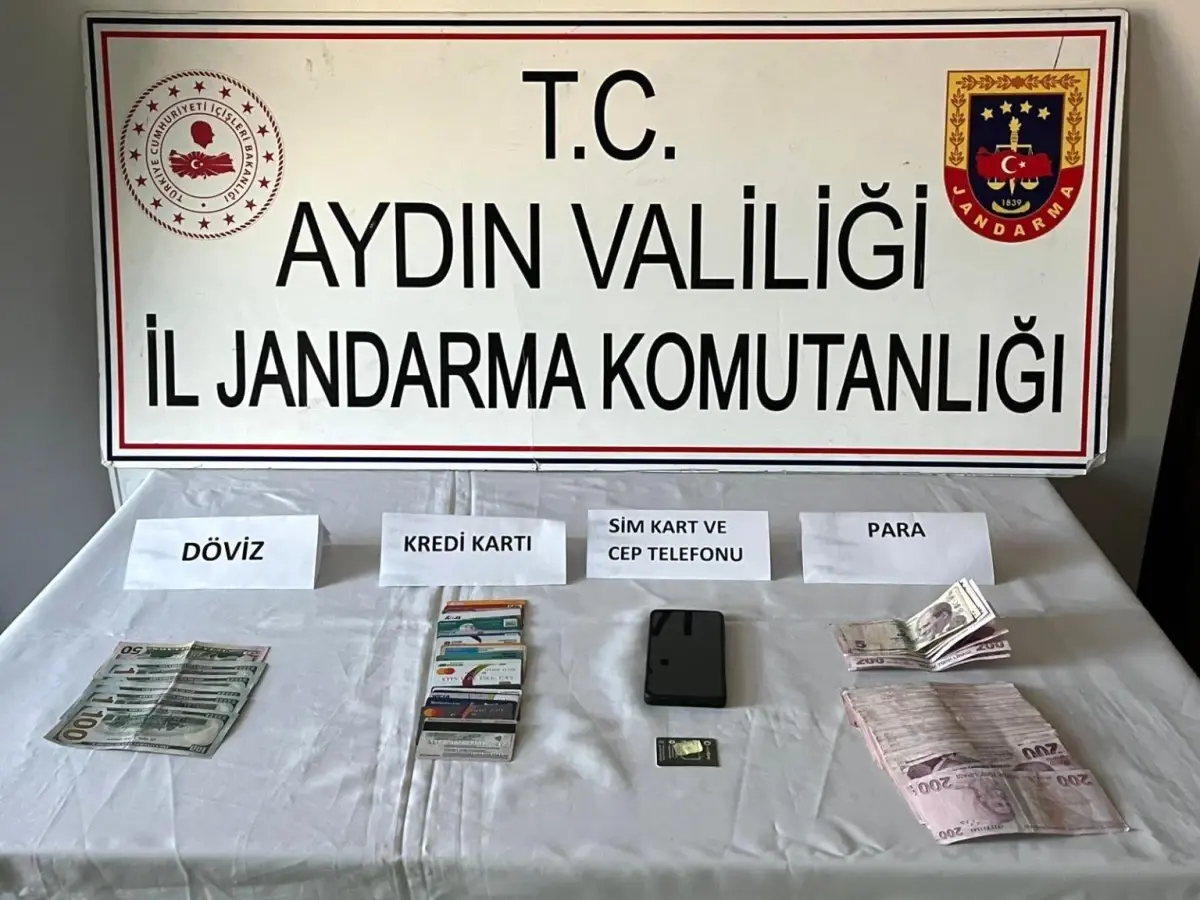 Aydın'da 7 Düzensiz Göçmen Yakalandı