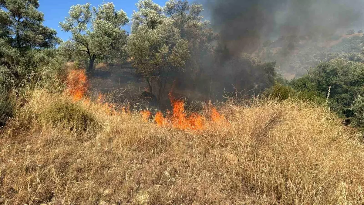 Aydın'da Zirai Alanda Yangın