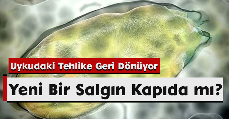 40 Bin Yıllık Uykudan Uyanan Mikroplar: Küresel Isınma İçin Gizli Tehlike!