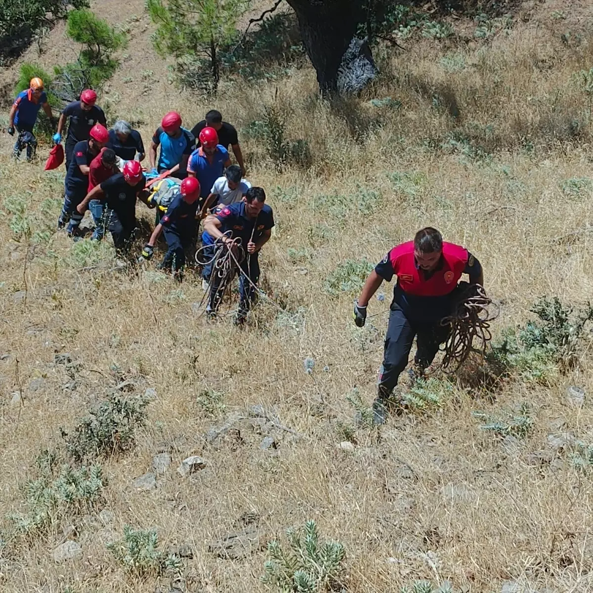 Kekik Toplarken Rahatsızlandı